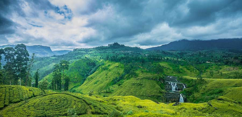 Nuwara-Eliya